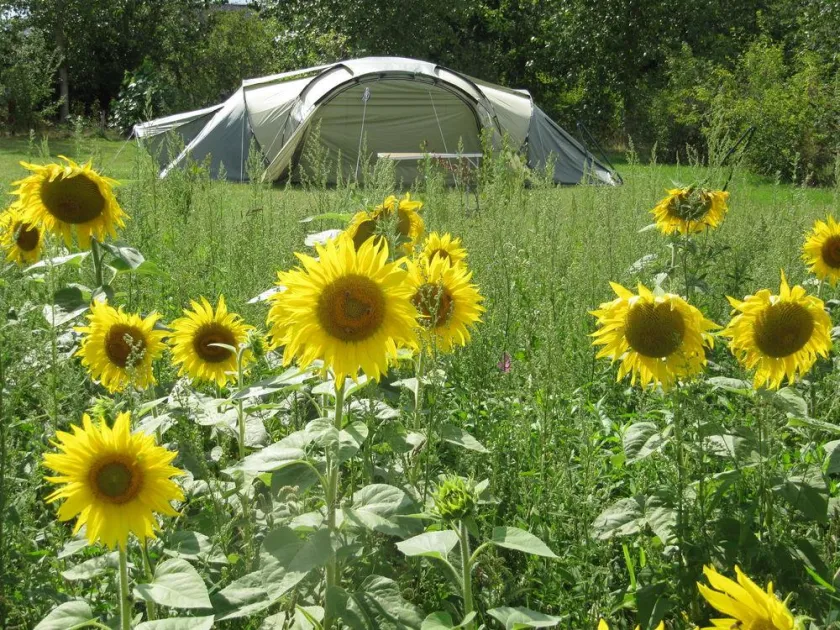 Camping Ferme Pédagogique de Prunay